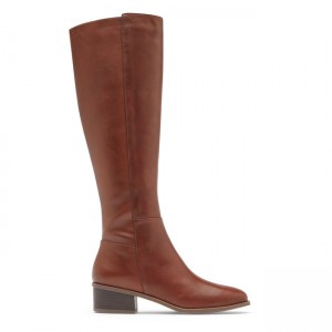 Women Rockport Evalyn Tall Boots Brown | 6985-AHPFB